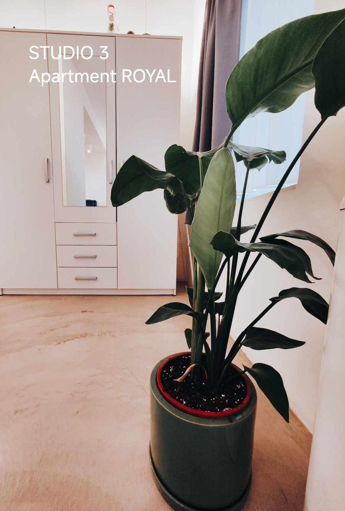 Pekarna Apartments Λιουμπλιάνα Εξωτερικό φωτογραφία